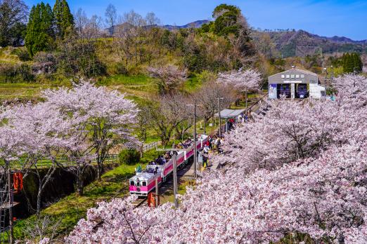 あまてらす鉄道