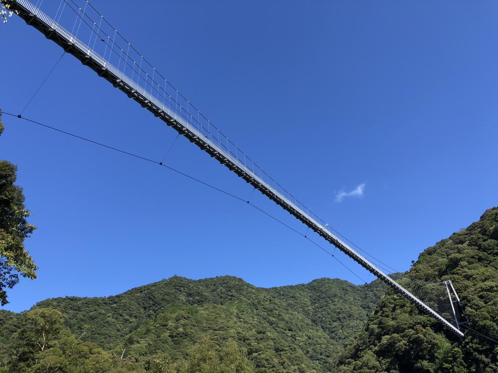 国内有数の歩道吊橋！綾の照葉大吊橋【中部エリア】-1