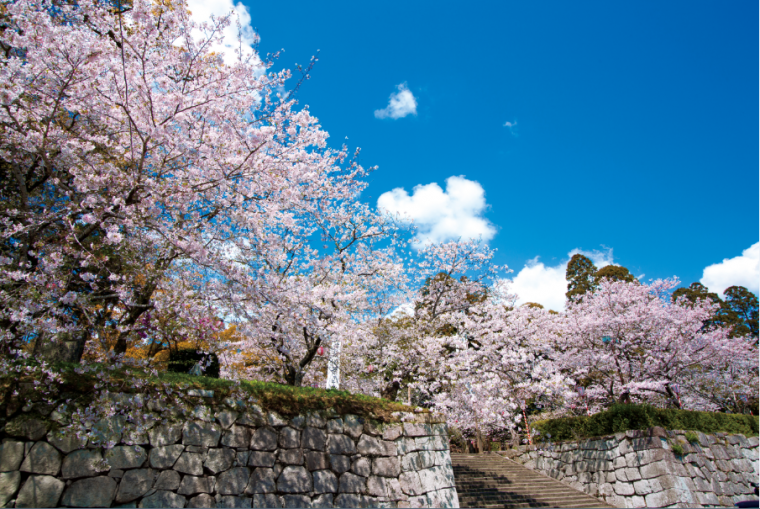 Maizuru Park (Takanabe Town)-1