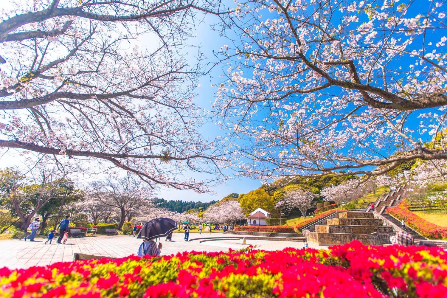 Hisamine General Park (Miyazaki City)-1