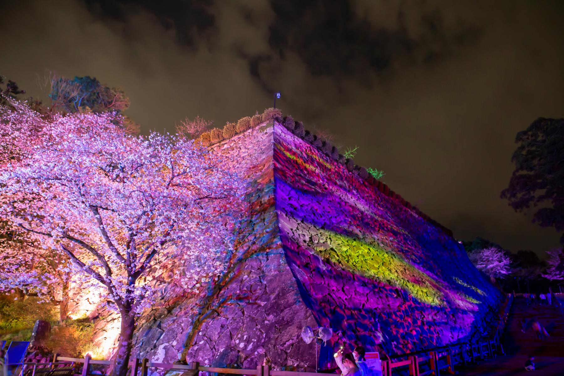 Nobeoka Castle Ruins and Shiroyama Park (Nobeoka City)-1