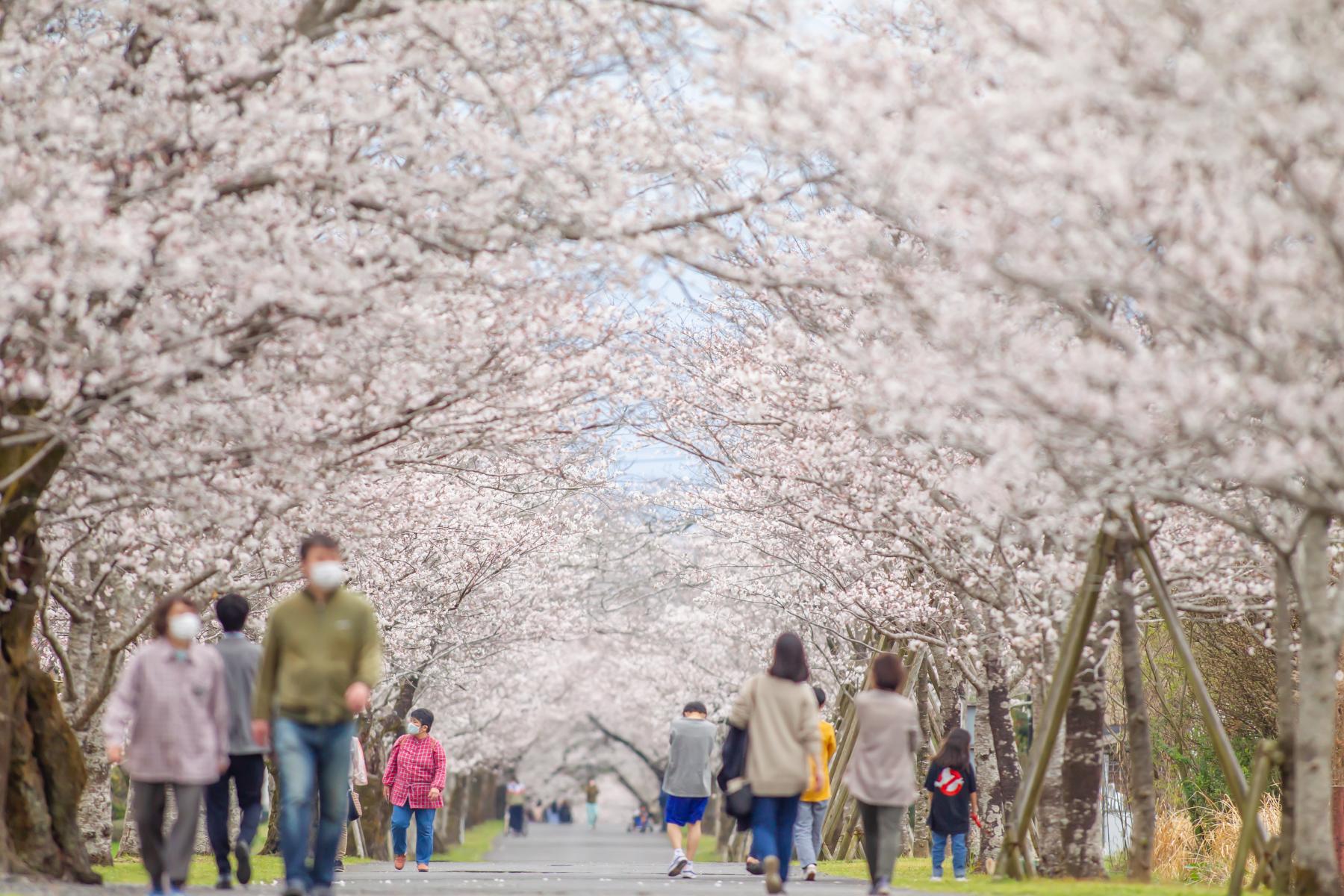 母智丘公園（都城市）-1