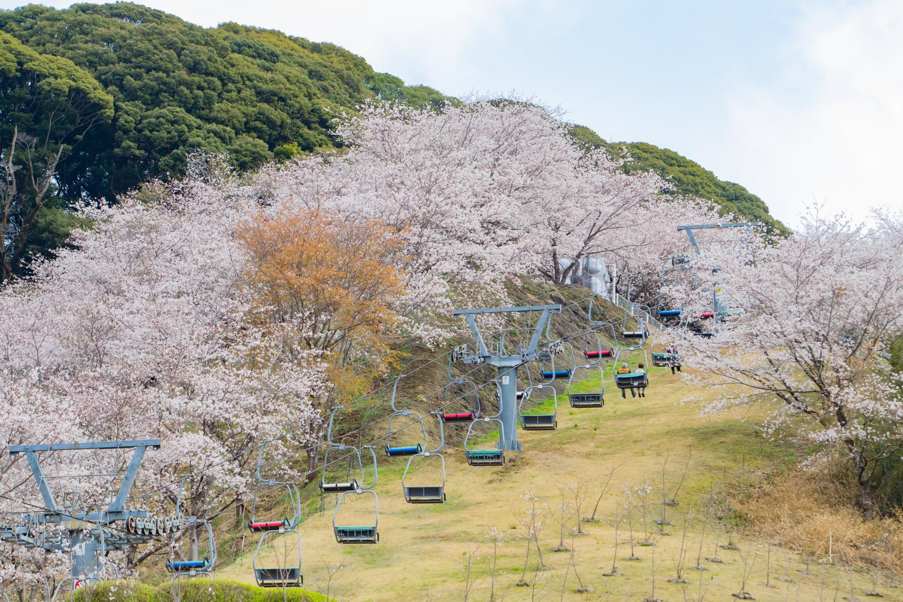 觀音池公園（都城市）-1