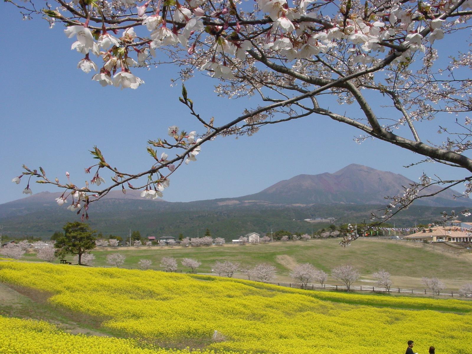 Takachiho Farm (Miyakonojo City)-1