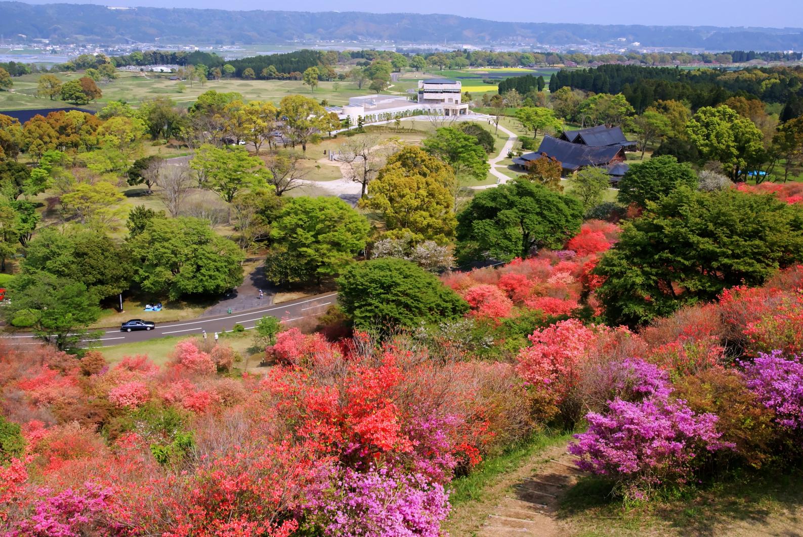 Mt. Takatori Park (Saito City)-1