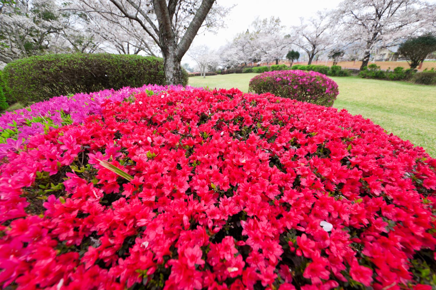 觀音池公園（都城市）-1