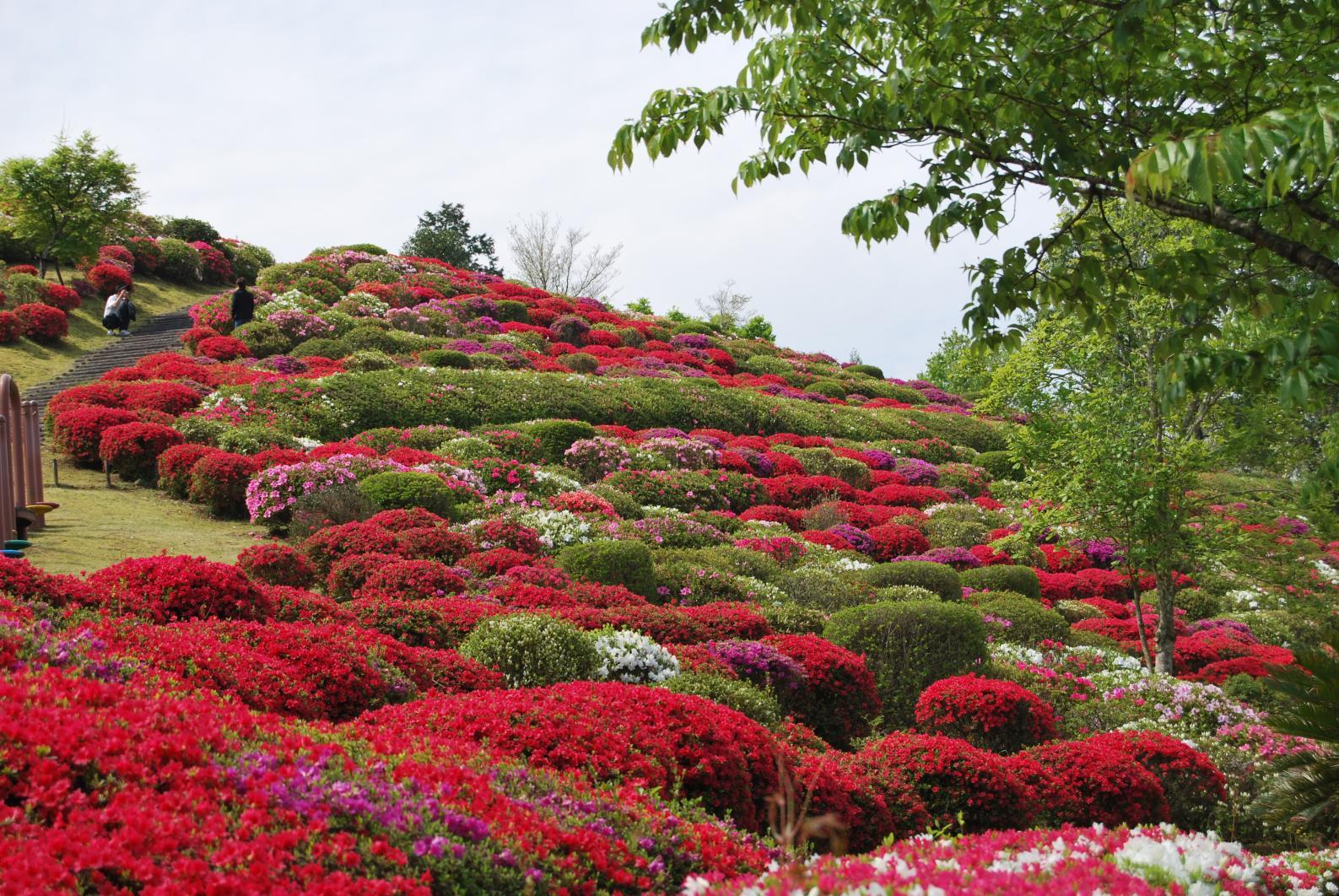 Bokusui Park (Hyuga City)-1