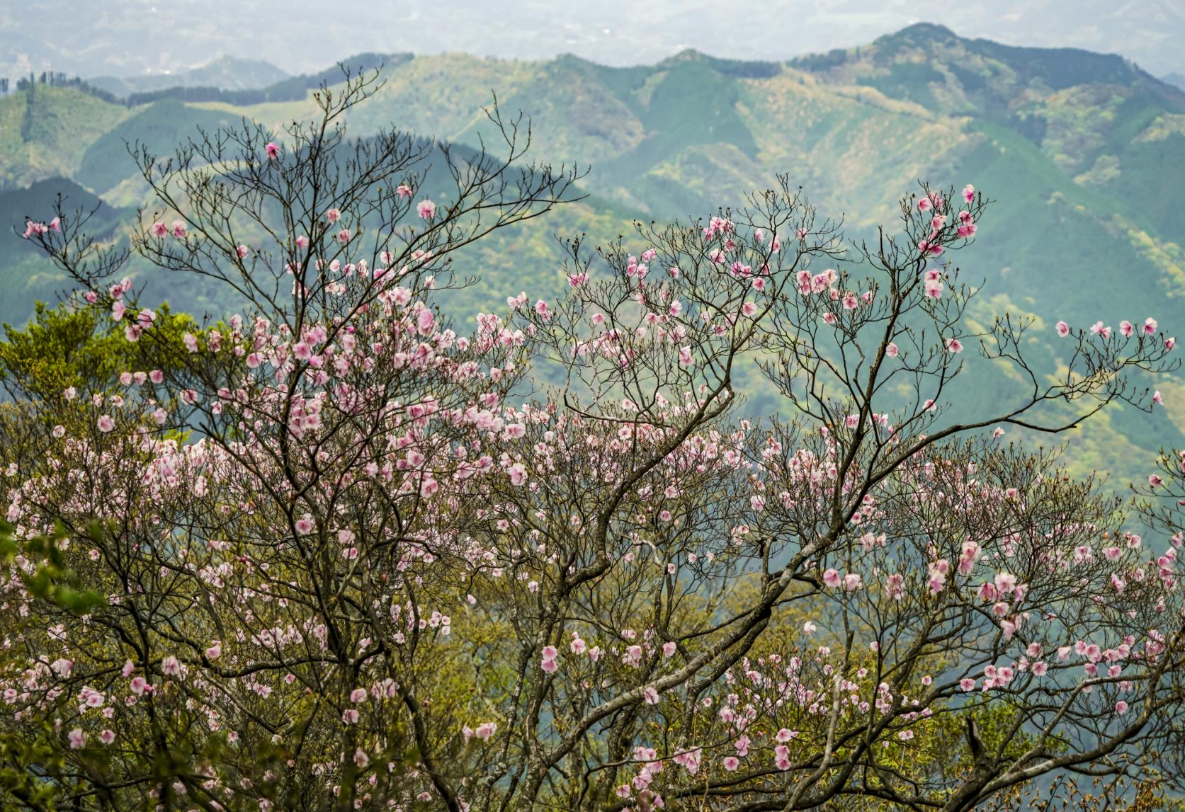 Mt. Futagami Summit Observatory (Takachiho Town)-1