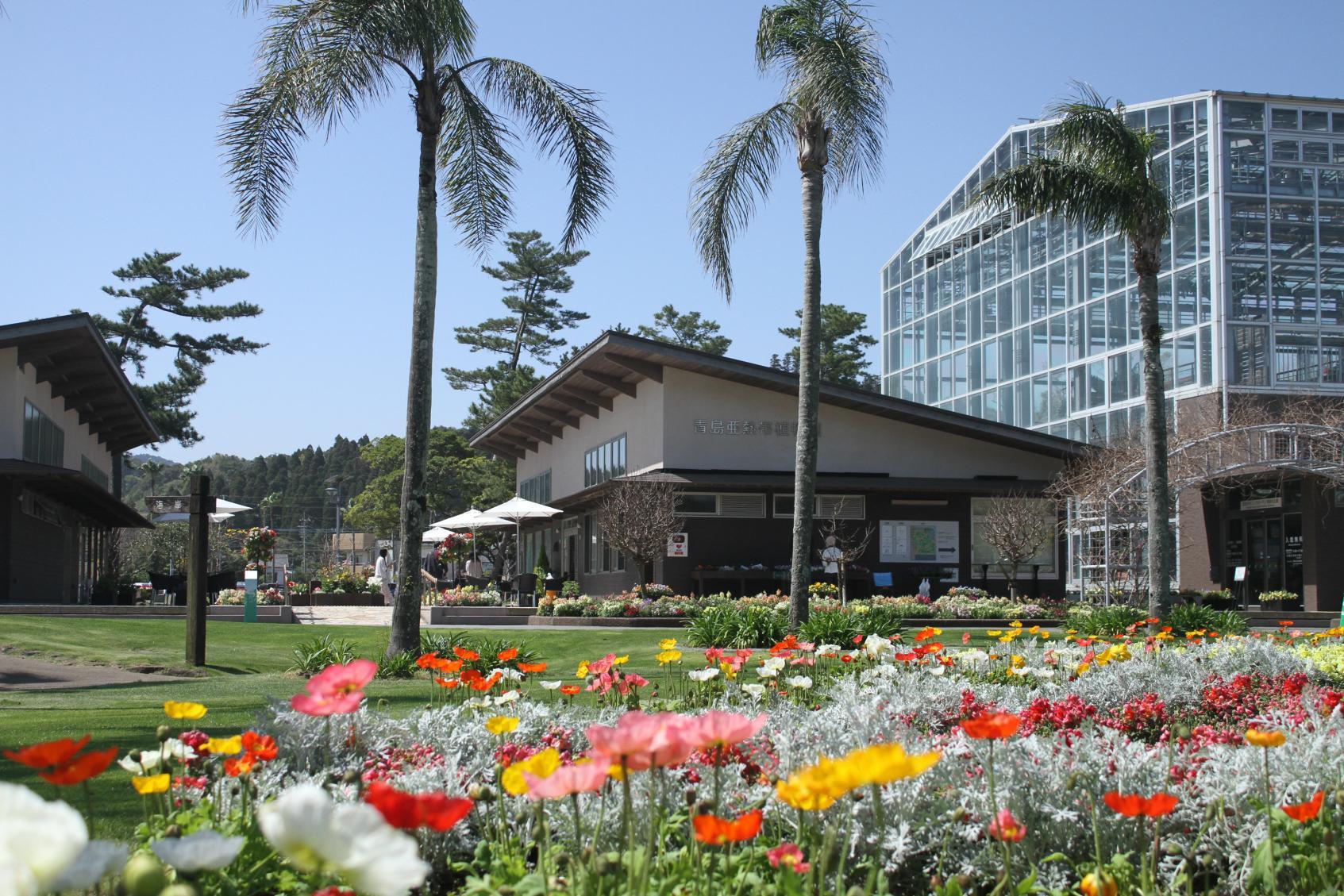 Miyakoh Botanic Garden Aoshima (Miyazaki City)-1