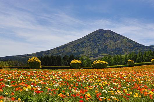 Ikoma Plateau (Kobayashi City)-1