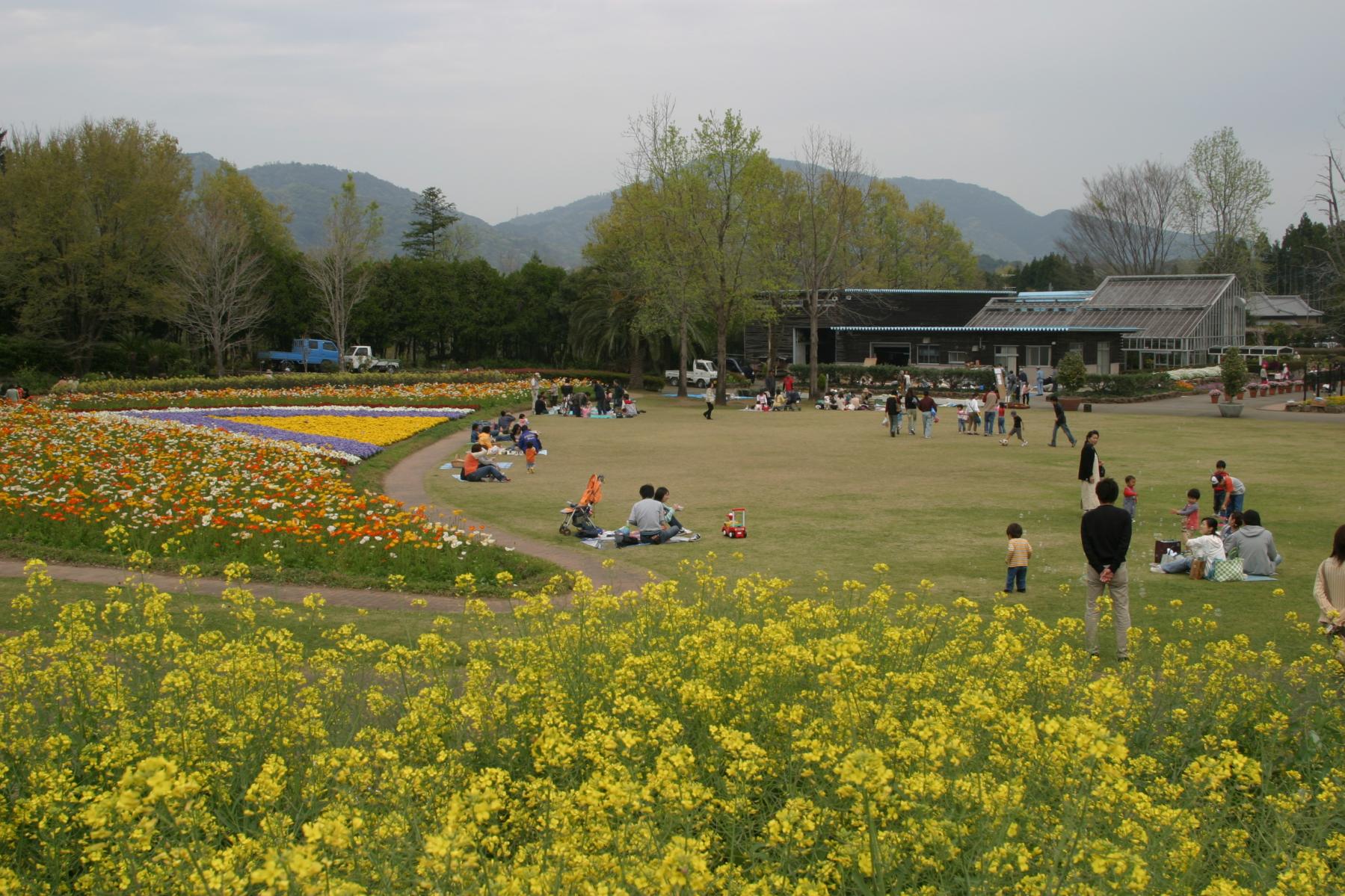 延岡植物園（延岡市）-1