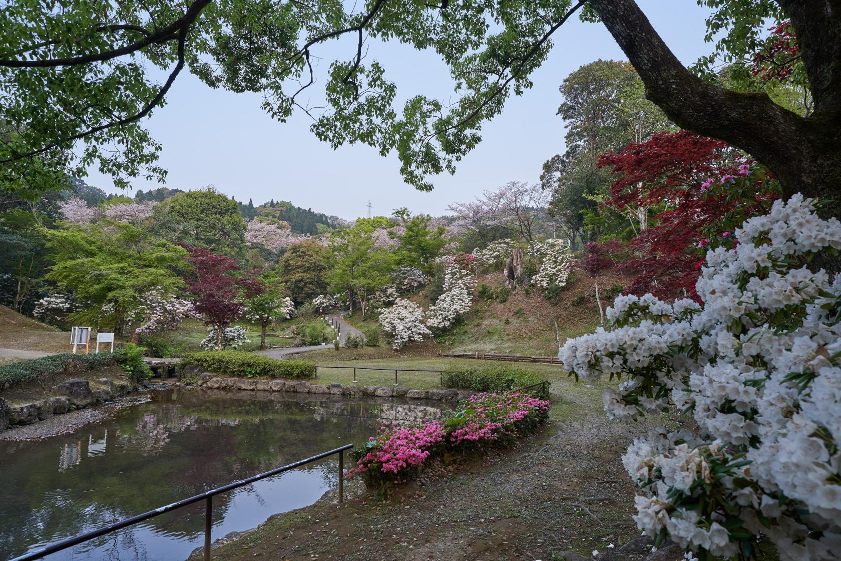 法華嶽公園（國富町）-1