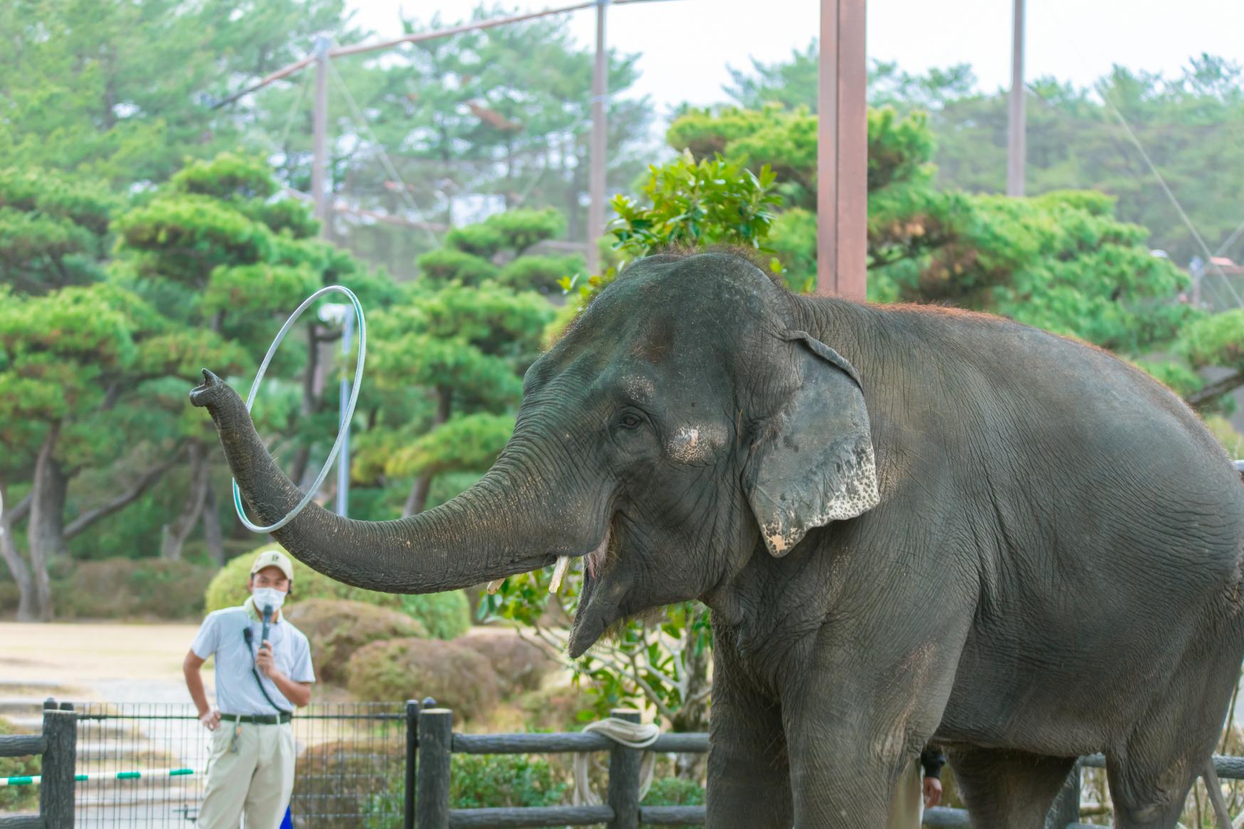 宮崎市 フェニックス自然動物園-1