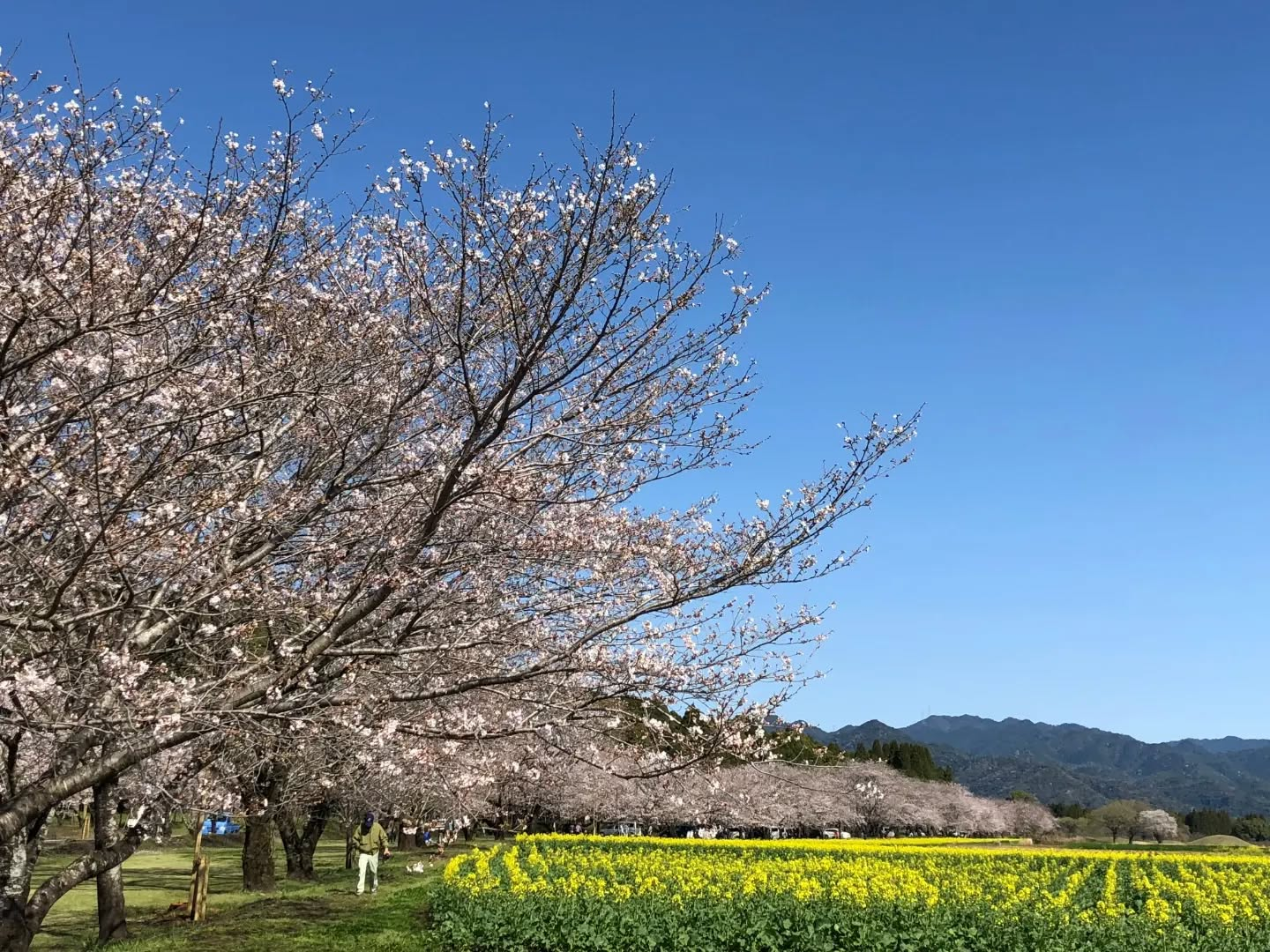 西都・児湯エリア-1