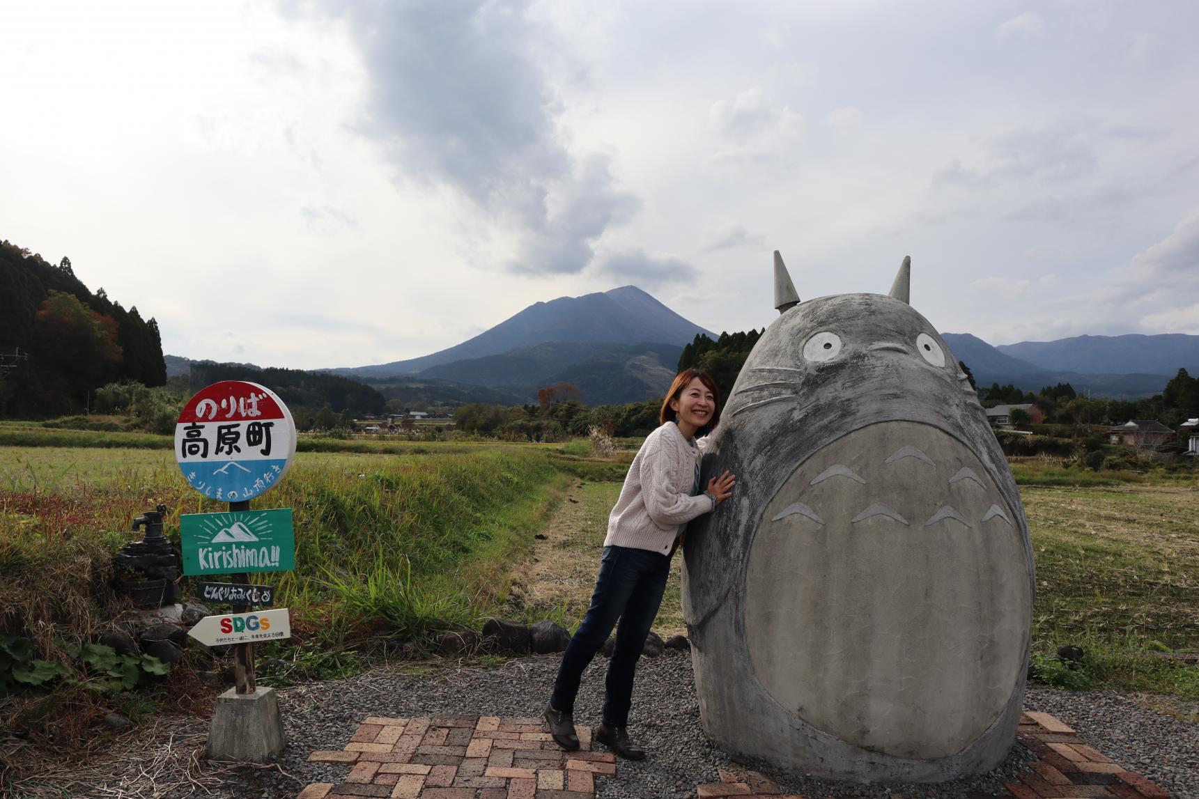 高原町の映えスポット！「高原町のトトロ」-0