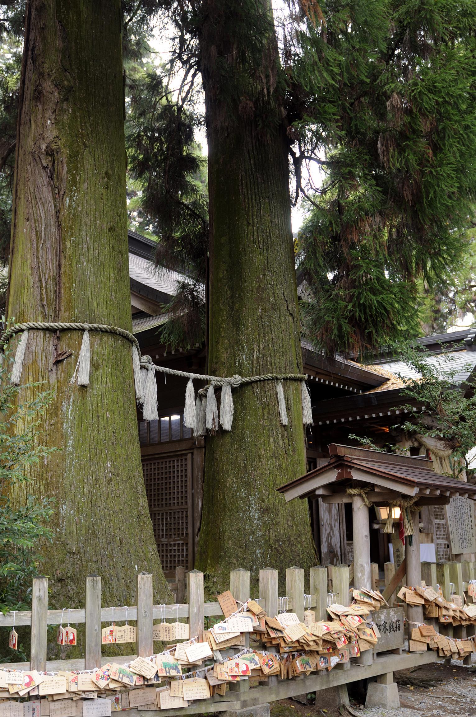 創建にまつわる鬼八伝説と猪掛祭-2