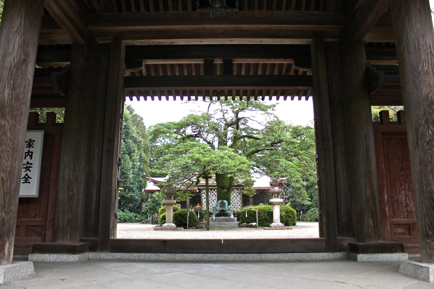 小戸神社-0