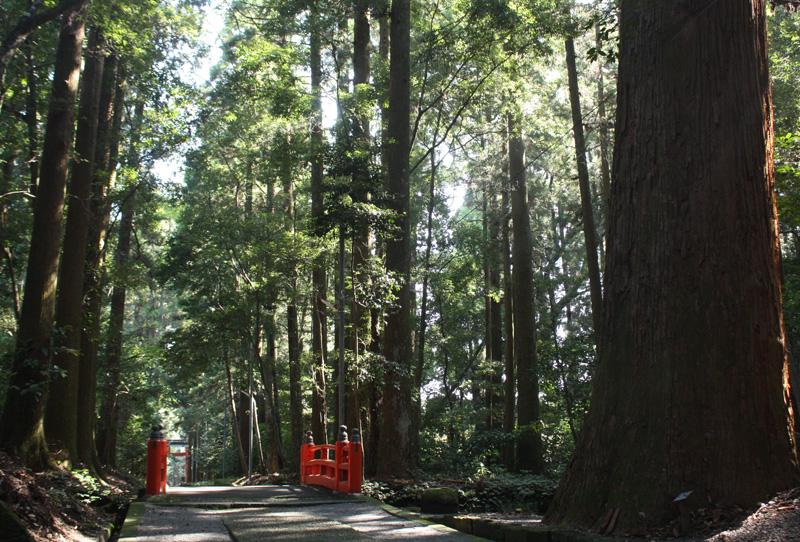 狭野（さの）神社-0