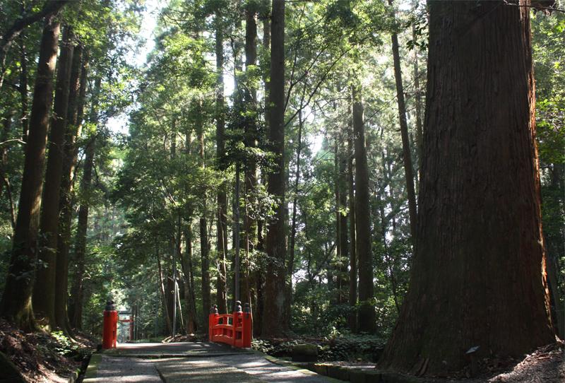 狭野（さの）神社-0