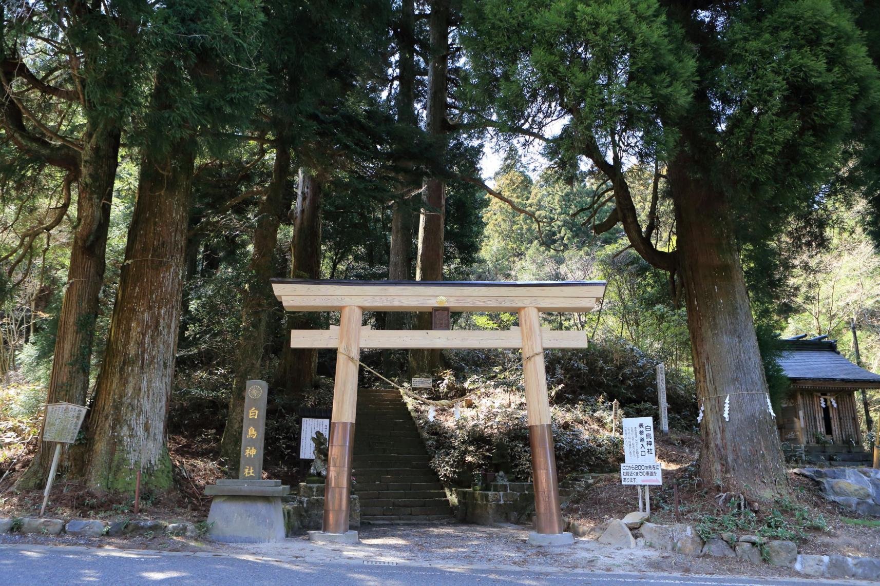 白鳥神社-0