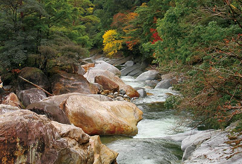 祝子川渓谷-0