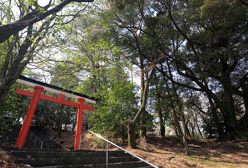 皇子原（おうじばる）神社-0