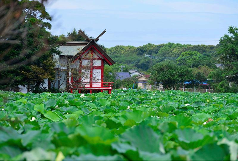 湖水ヶ池公園-0