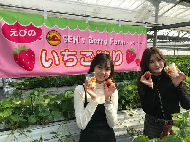 SEN's Berry Farm【えびの市】-1