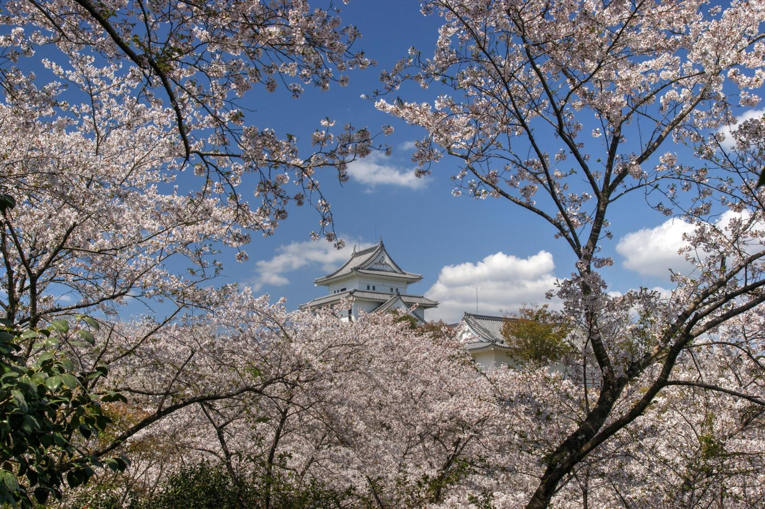 天城公園(宮崎市)-0