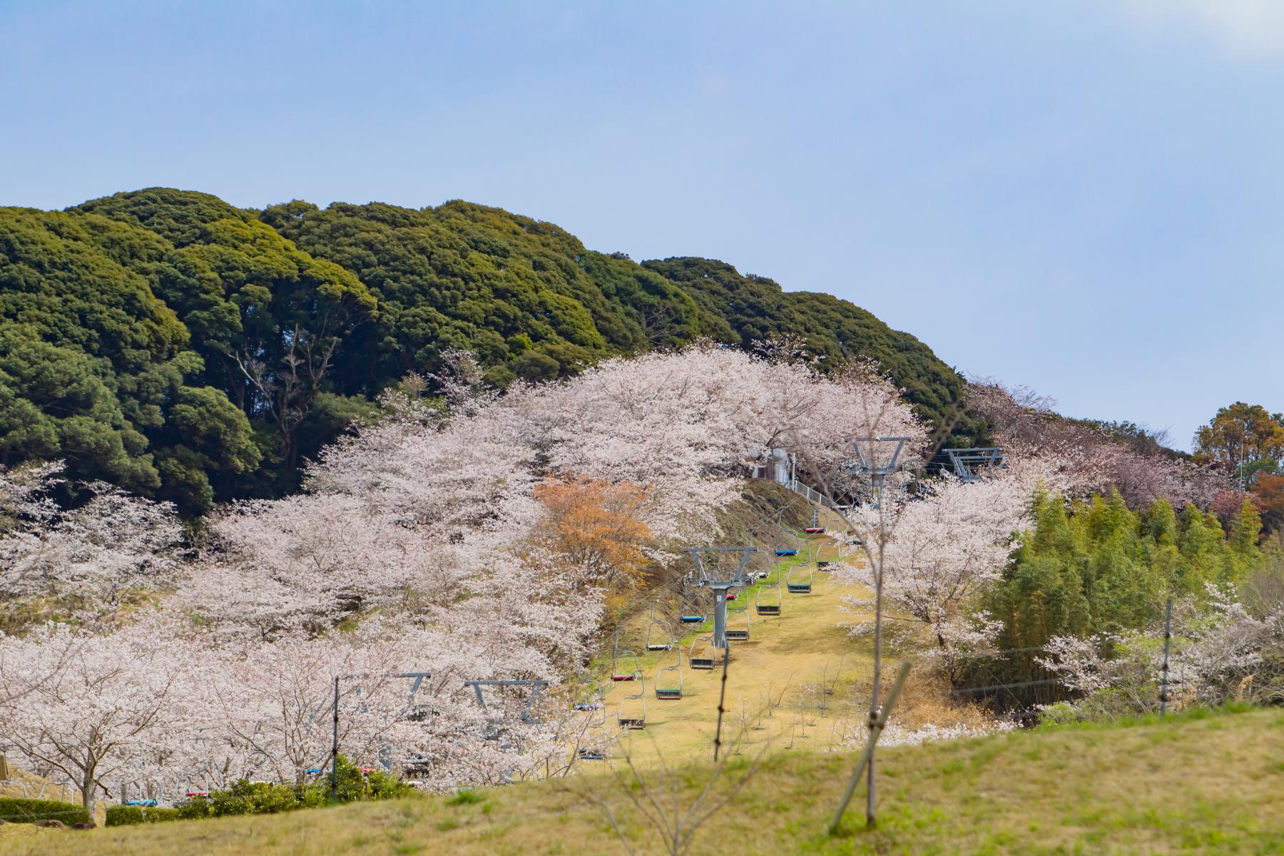 觀音池公園(都城市)-0