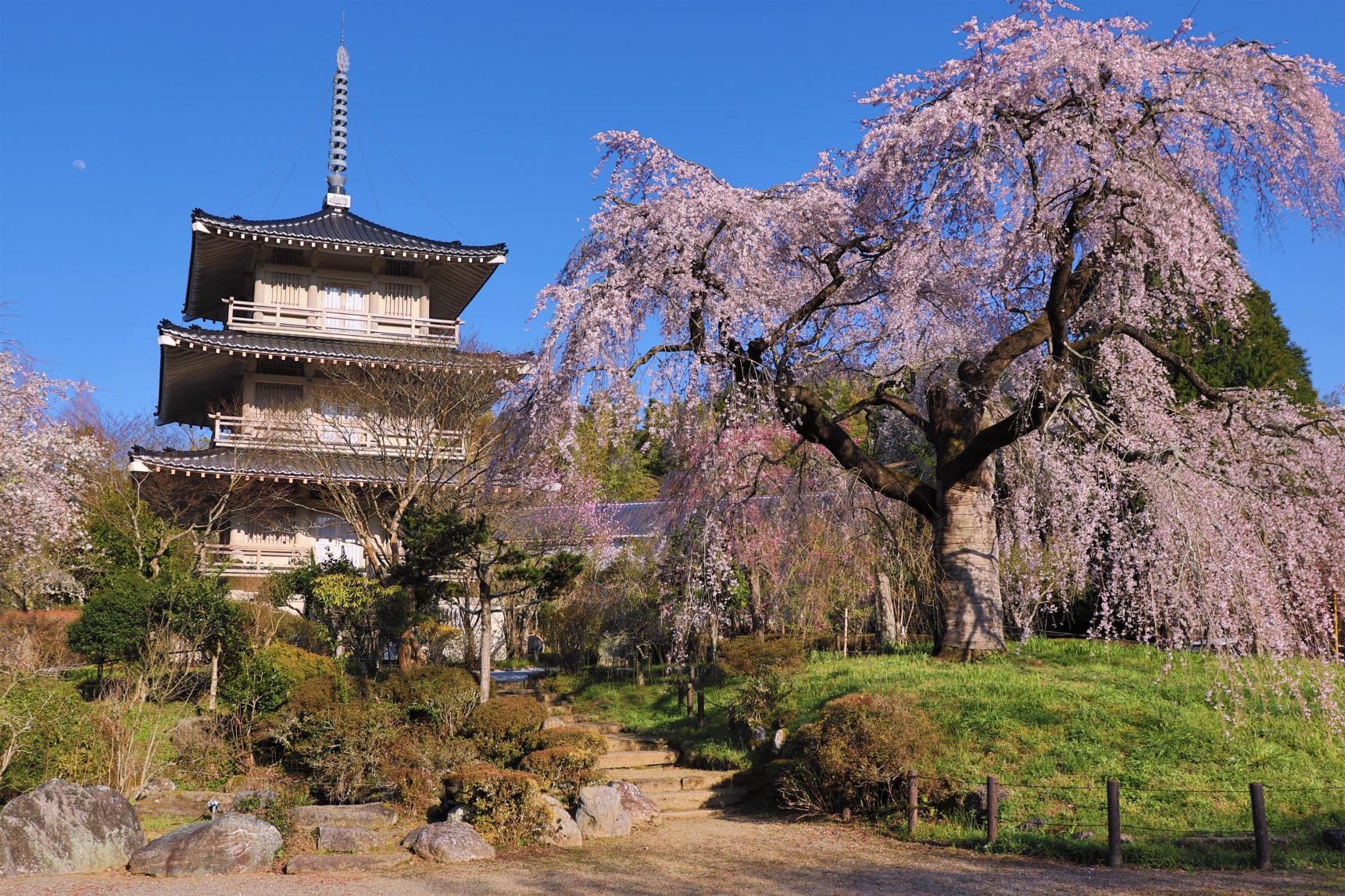 淨專寺(五瀨町)-0