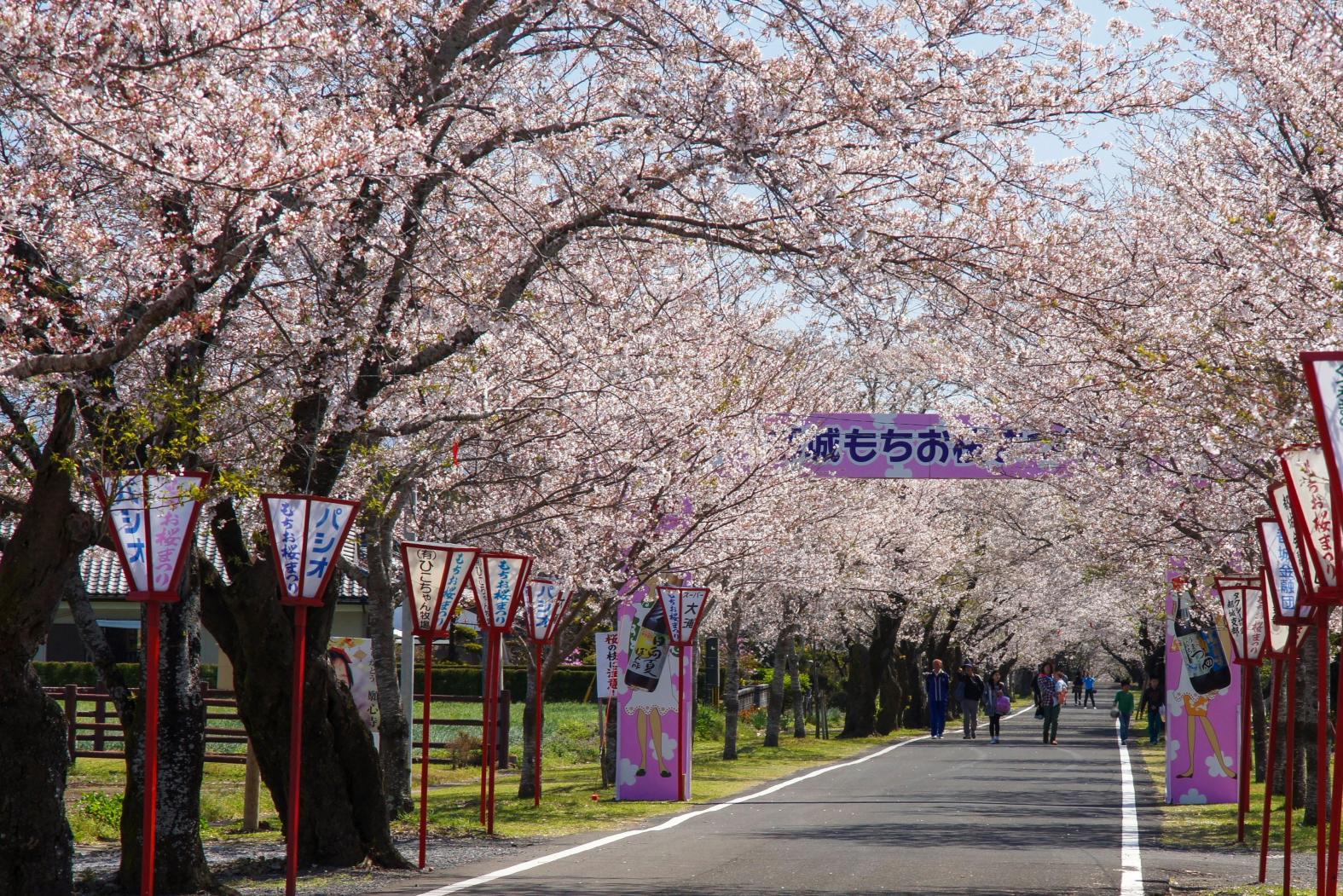 母智丘公園(都城市)-0