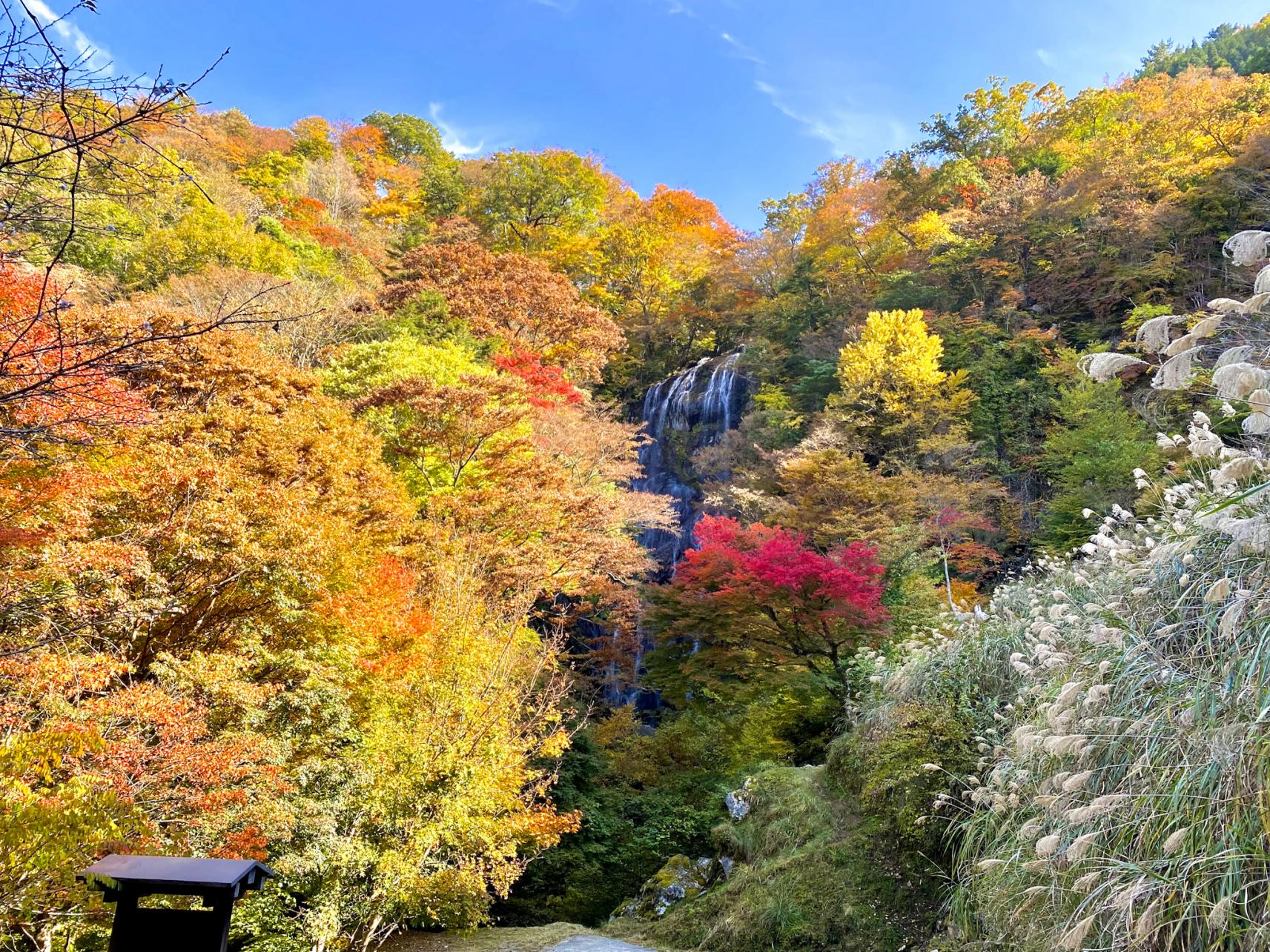 紅葉モデルコースで楽しむ　秋の宮崎県北編【延岡・日向・高千穂ほか】-1