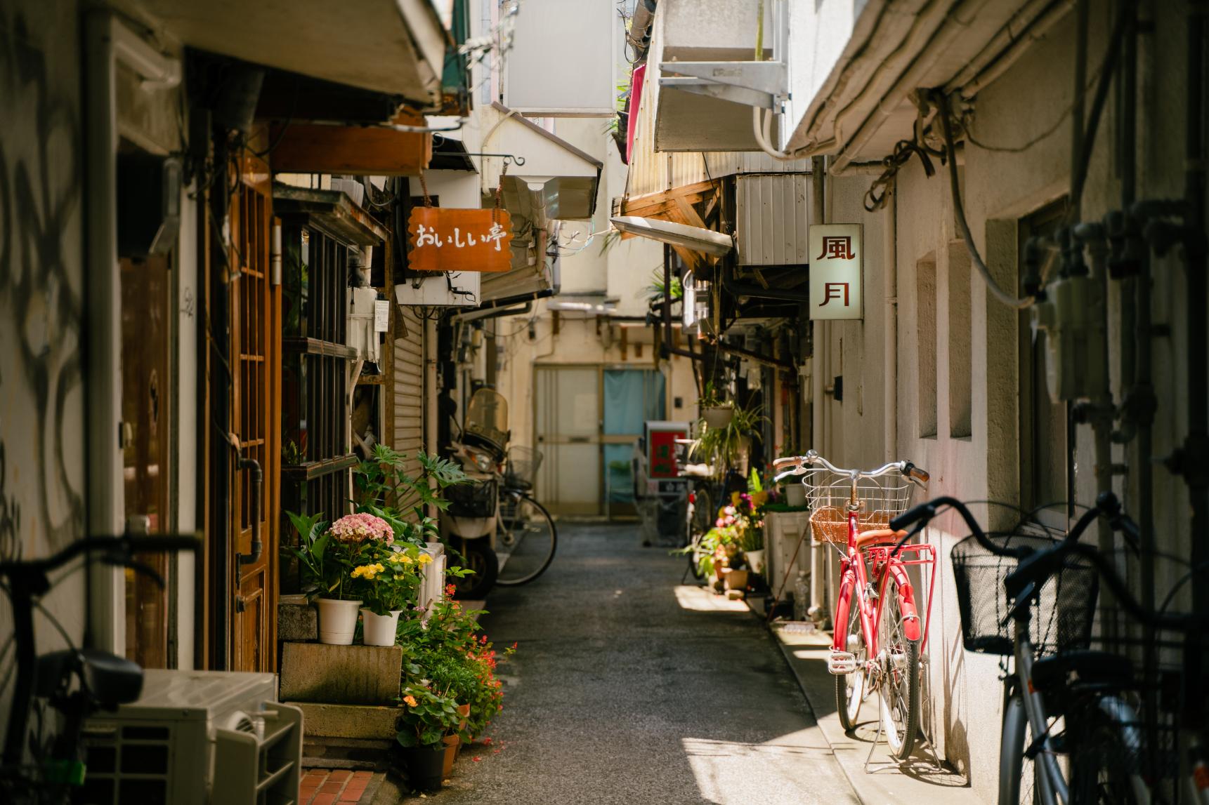 Unveiling Miyazaki’s Hidden Lunch Spots-1