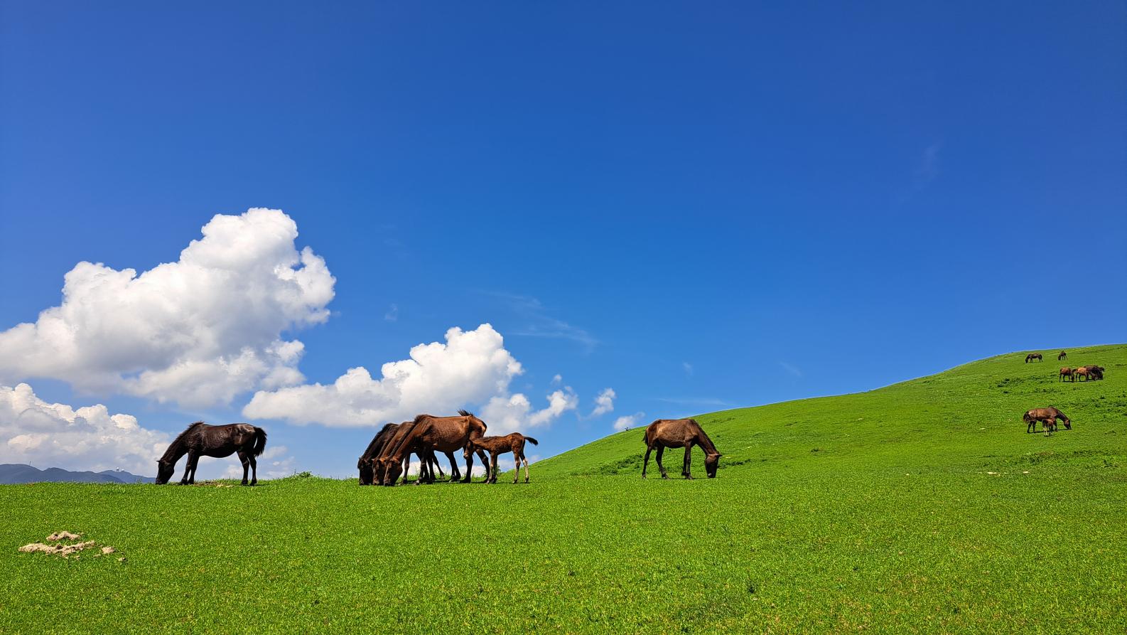 Embark on an Adventure with Nature in Kushima-1