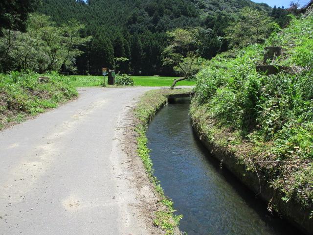 陣の池までの道-0