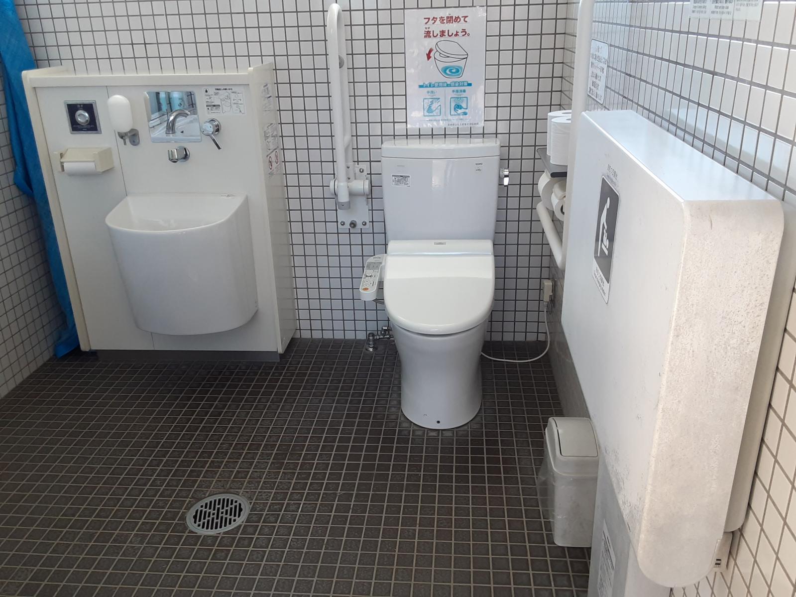 ④タブの森東側とトイレの中-7