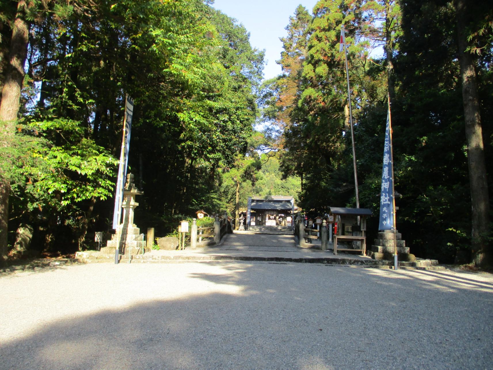 正面鳥居からの参道-0