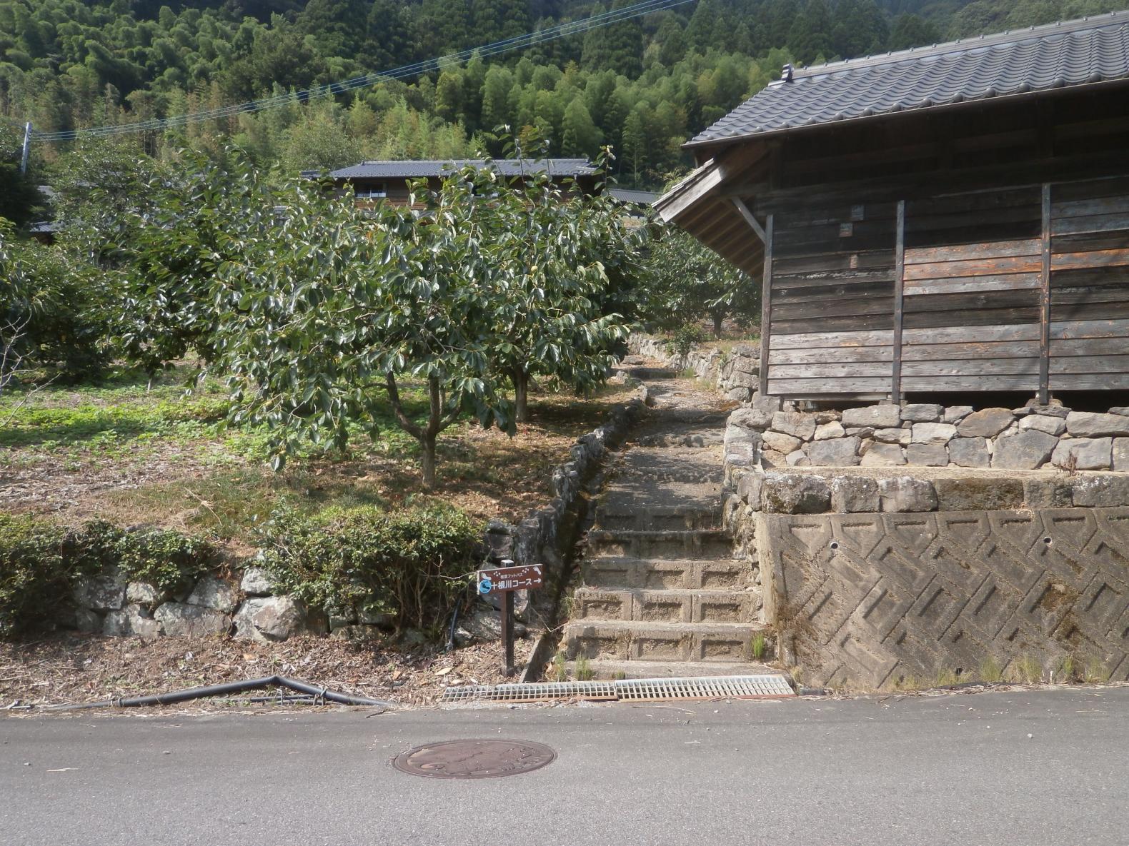 十根川集落通路-1