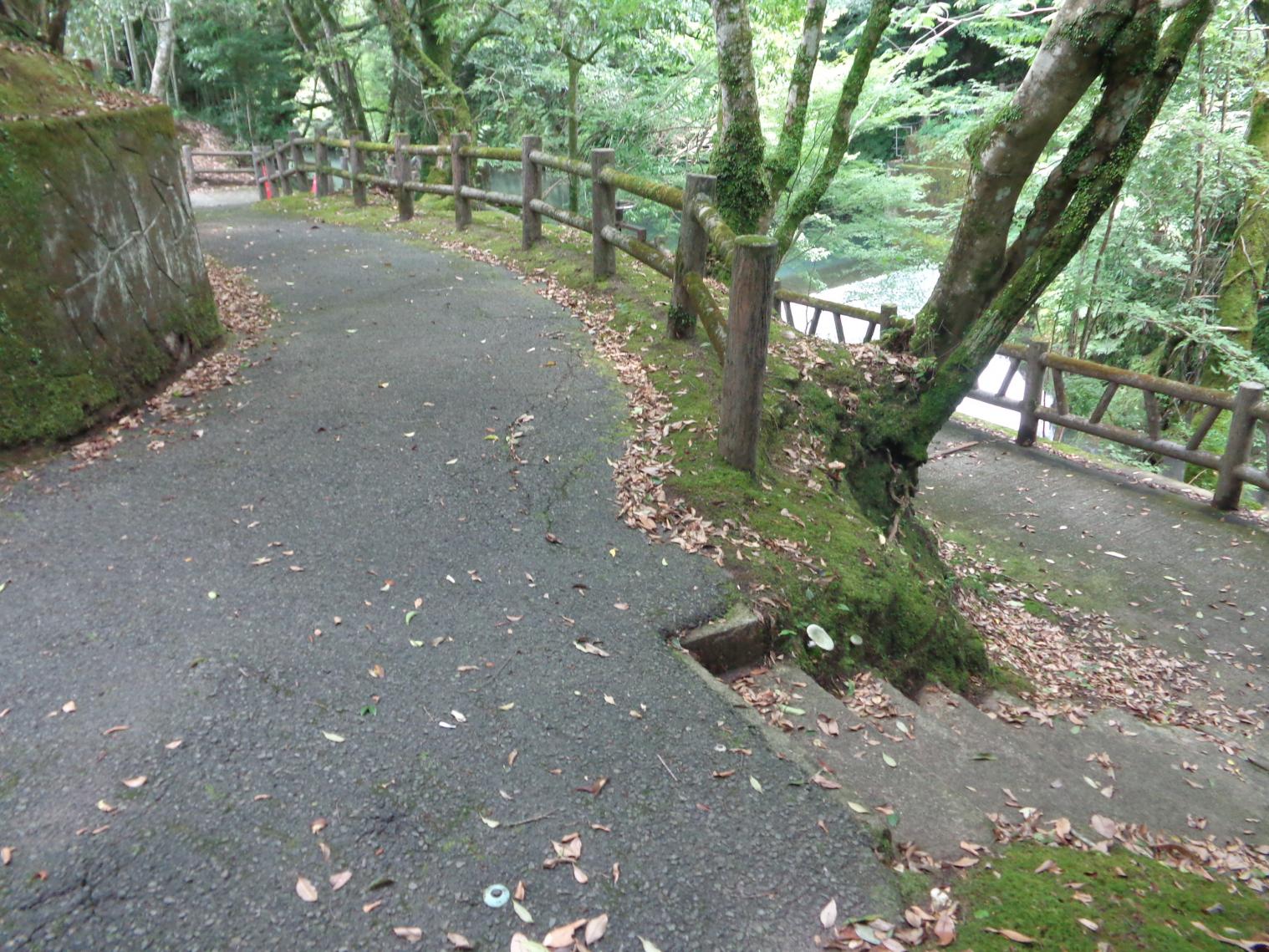 駐車場から渓谷まで-2