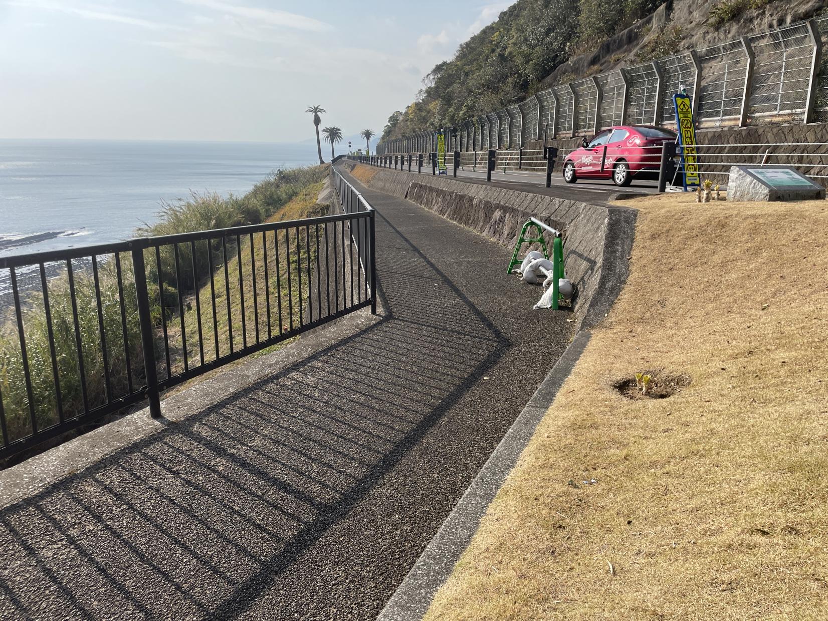 道の駅フェニックスへ向かう歩道-3