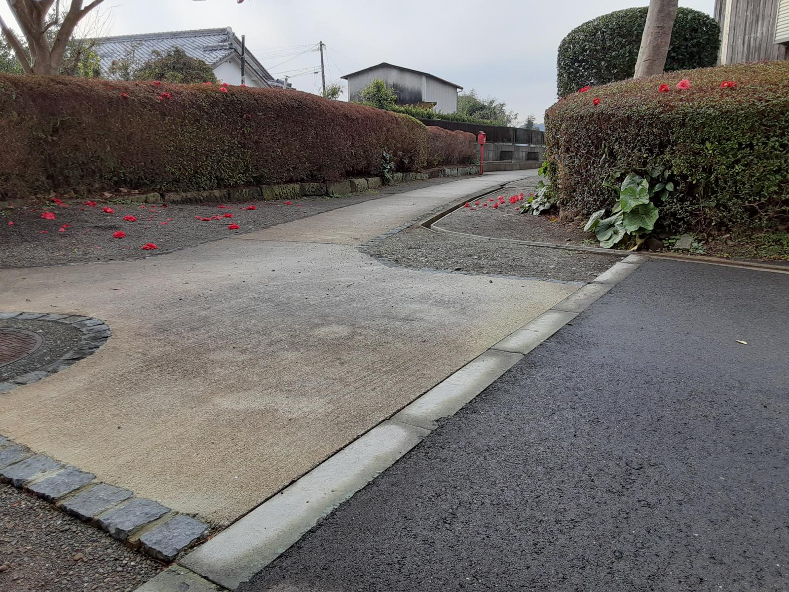 楽山園までの通路-1