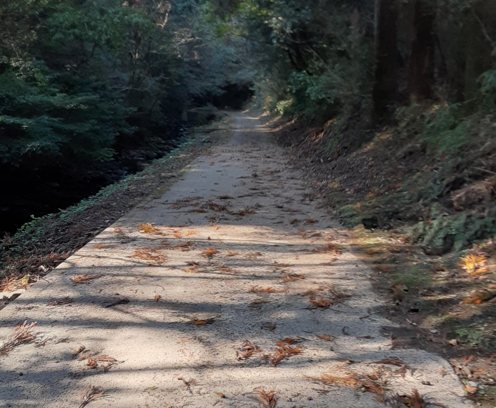 滝までの通路-1