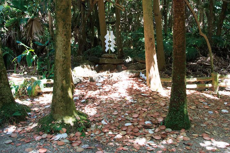 青島神社-4