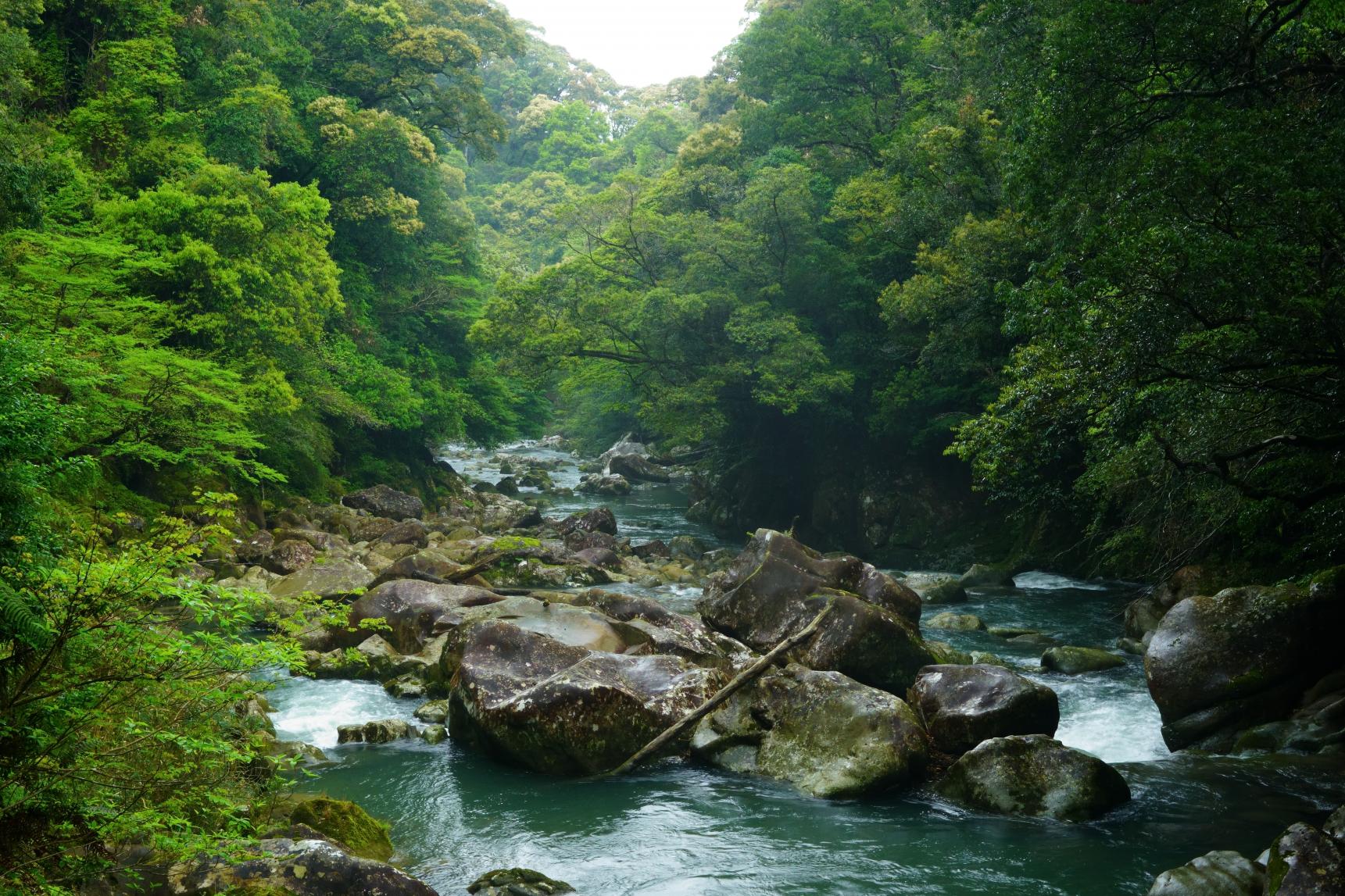 加江田渓谷（宮崎自然休養林）-2