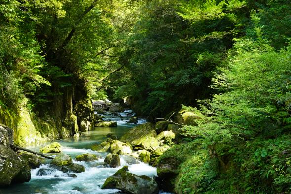 加江田渓谷（宮崎自然休養林）-0