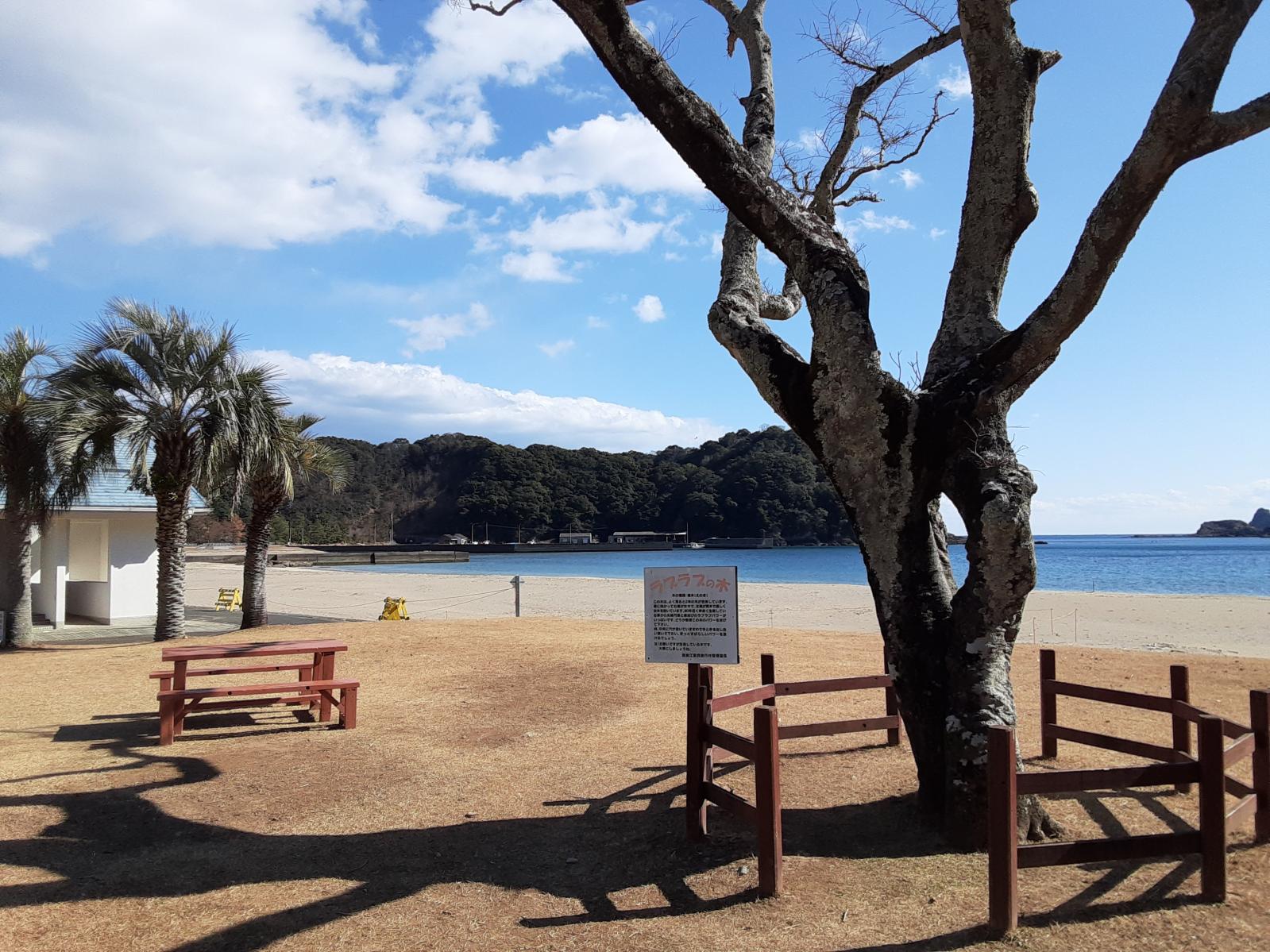 須美江海水浴場-1