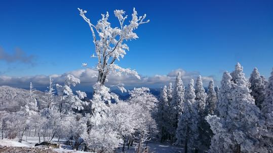 Gokase Highland Ski Resort-4