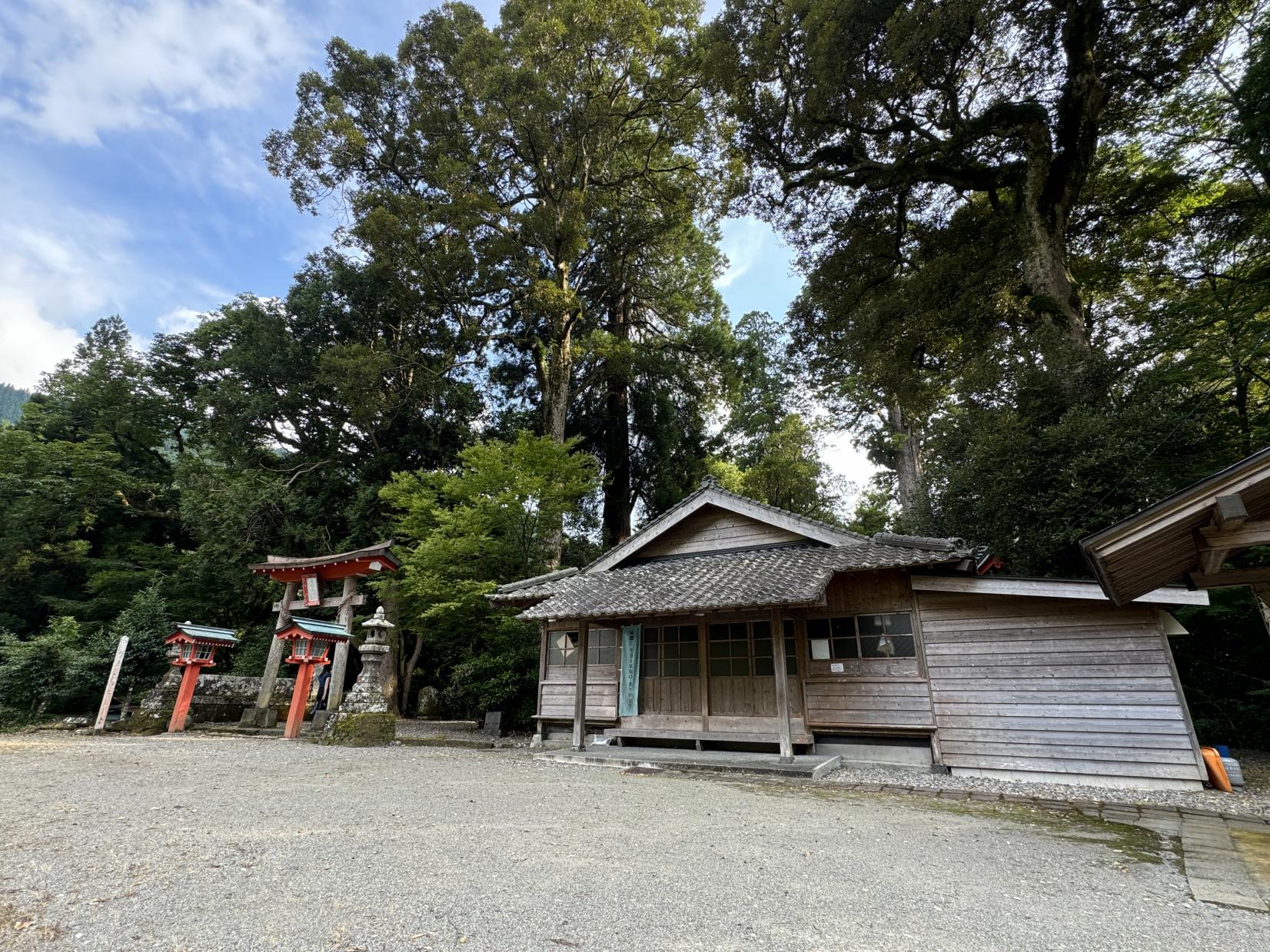 十根川集落（八村杉）-4