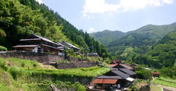 十根川集落（八村杉）-0